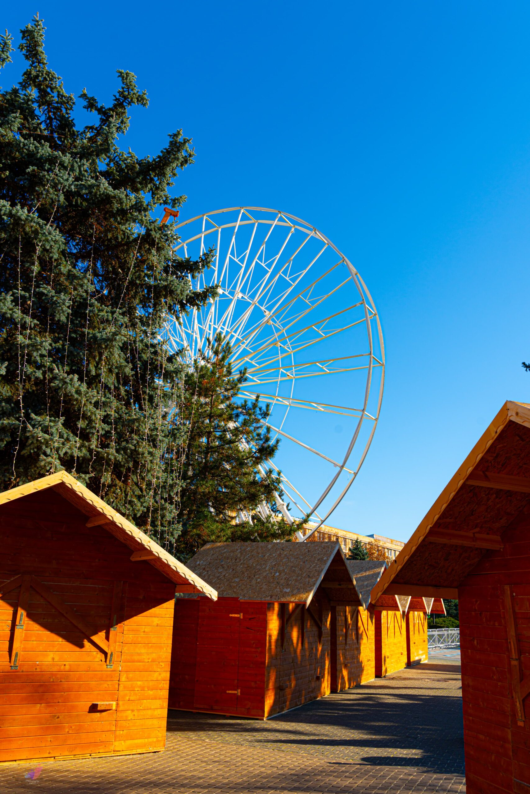 Republica lui Moș Crăciun - imagine 7